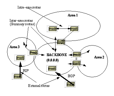 Ospf01.png