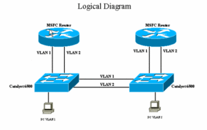 VlanNOtrunking.gif